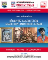 La Micro-Folie Le Moule : patrimoine, histoire et art contemporain