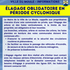 Élagage obligatoire en période cyclonique