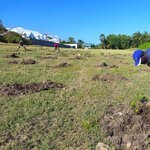 Travaux de plantation à Ouatibi-tibi