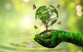 Appel à projet - Service Civique Écologique