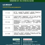 PLANNING DE COLLECTE DES ENCOMBRANTS - LE MOULE