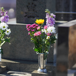 Informations à l'approche de la Toussaint