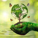 Appel à projet - Service Civique Écologique