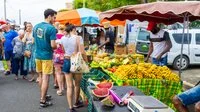 Le Marché Agricole du Moule s'anime au mois d'août