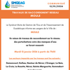 Communiqué SMGEAG - TRAVAUX DE RACCORDEMENT RÉSEAU MOULE
