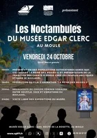 "Noctambules du musée"