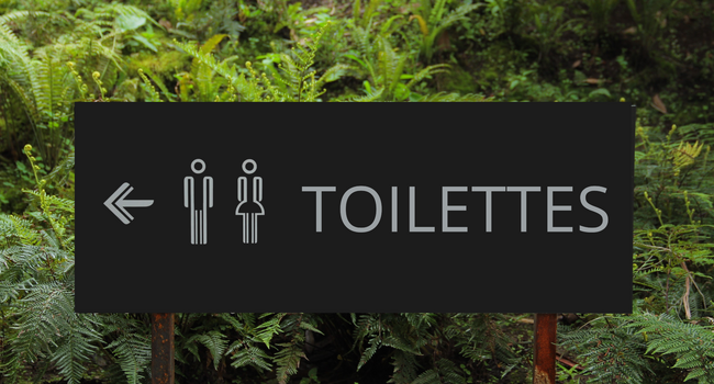 Des toilettes publiques pour améliorer le cadre de vie
