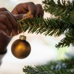 Le Moule en fête de Noël ! 