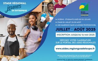 Stage Régional Jeunes en Entreprises, inscrivez-vous avant le 16 mai !