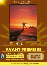 Affiche NOTHING TO LOSE TORTUGA