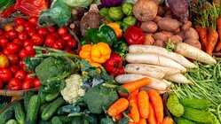 Menus de la restauration scolaire
