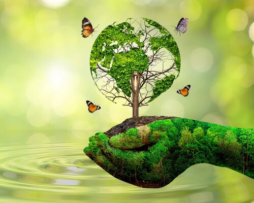 Appel à projet - Service Civique Écologique