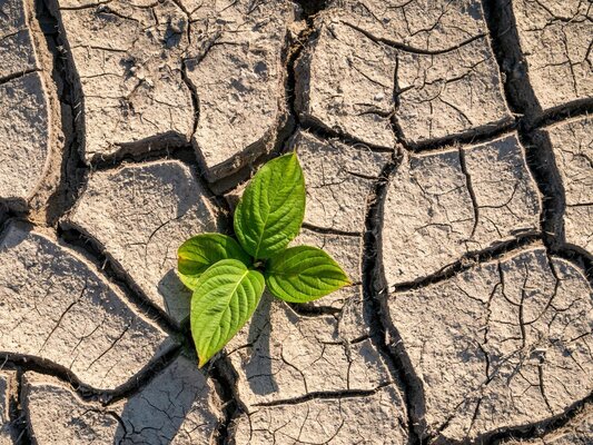 Transition écologique "Green Team"
