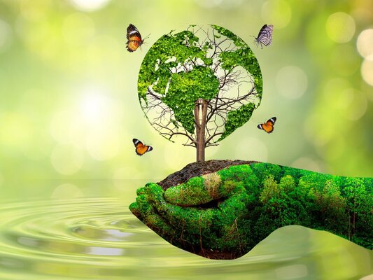 Appel à projet - Service Civique Écologique